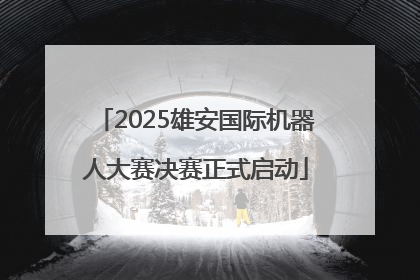 2025雄安国际机器人大赛决赛正式启动